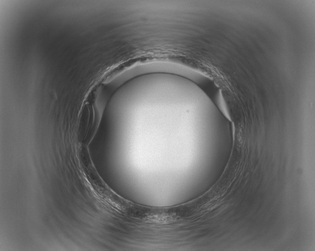 X0000082730540200702161910