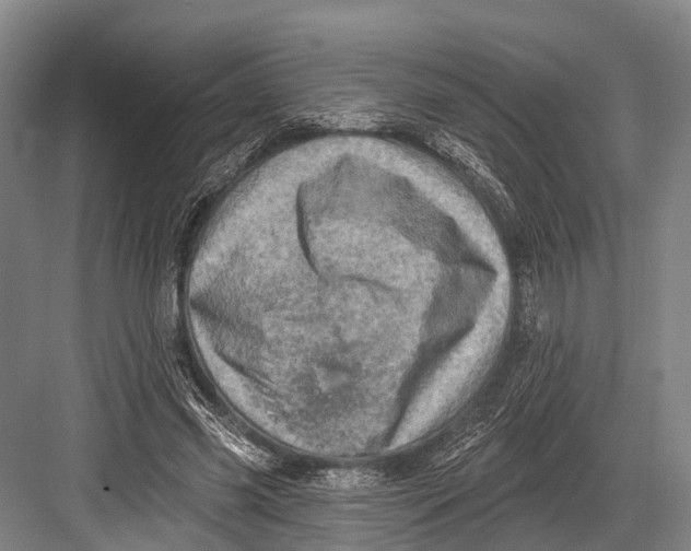 X0000082730541200702161910