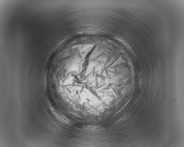 X0000082730542200702161910