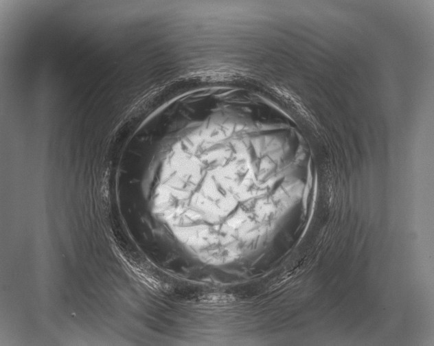 X0000082730543200702161910