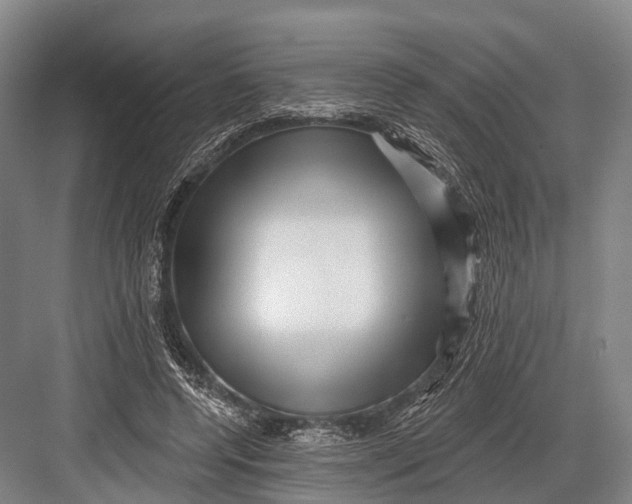 X0000082730544200702161910