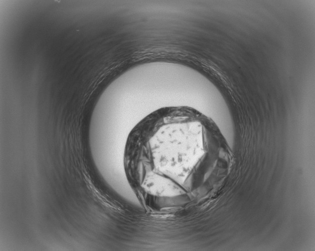 X0000082730546200702161910