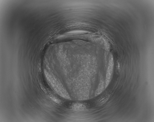 X0000082730547200702161910