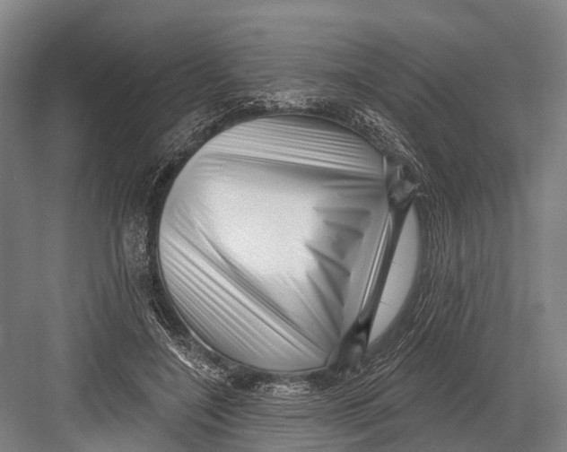 X0000082730548200702161910