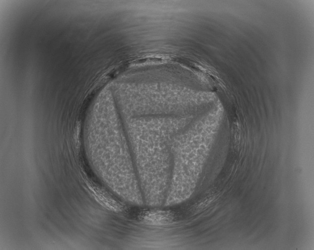 X0000082730550200702161910