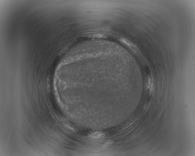 X0000082730551200702161910