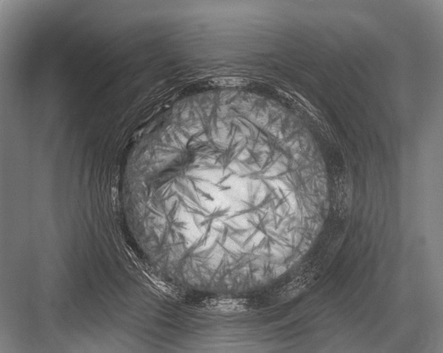 X0000082730553200702161910