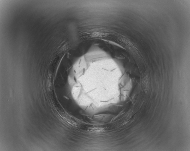 X0000082730554200702161910