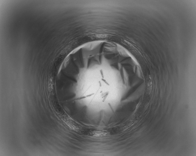 X0000082730555200702161910