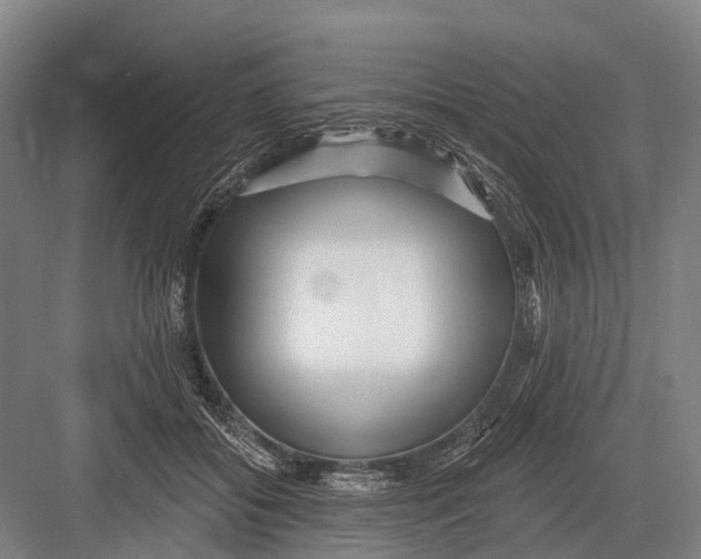 X0000082730556200702161910