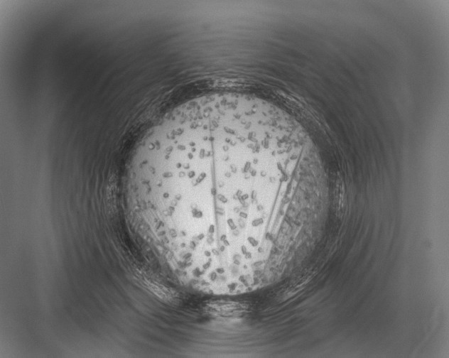 X0000082730557200702161910