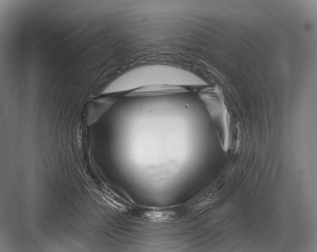 X0000082730558200702161910