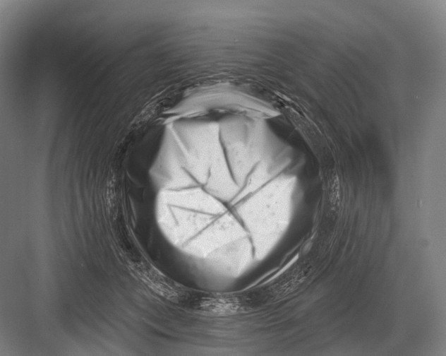 X0000082730559200702161910