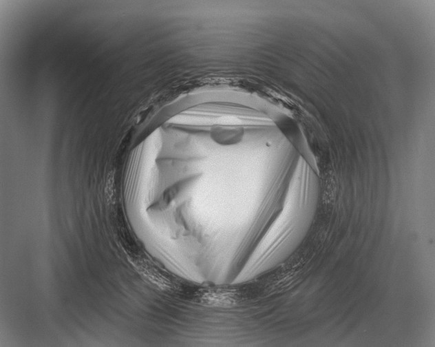 X0000082730560200702161910