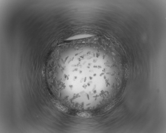 X0000082730561200702161910