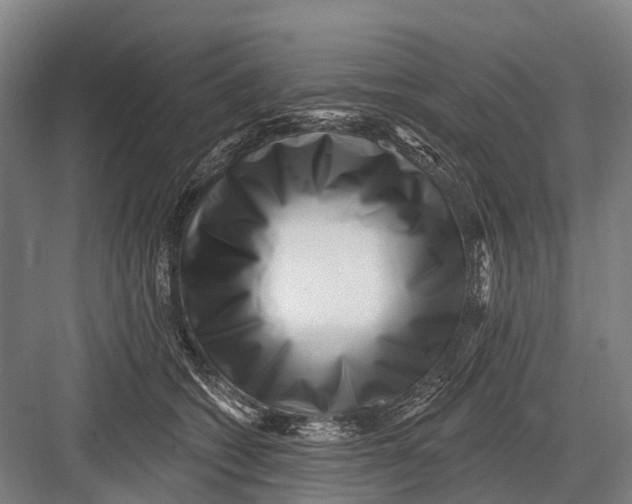 X0000082730562200702161910