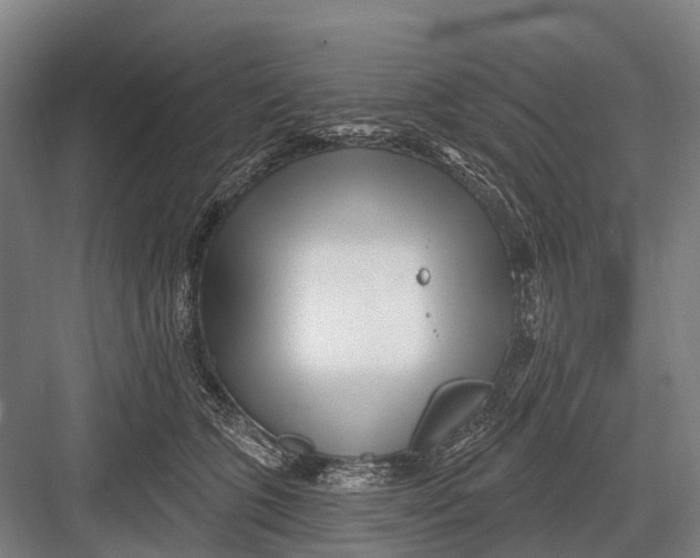 X0000082730563200702161910