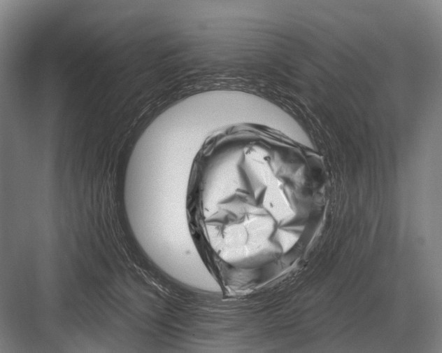 X0000082730564200702161910