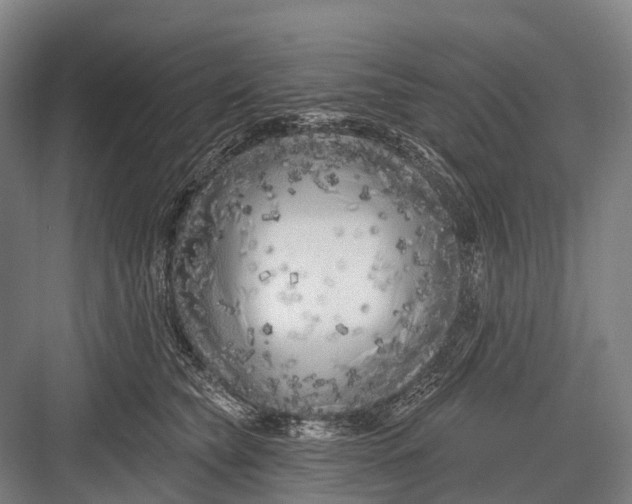 X0000082730565200702161910