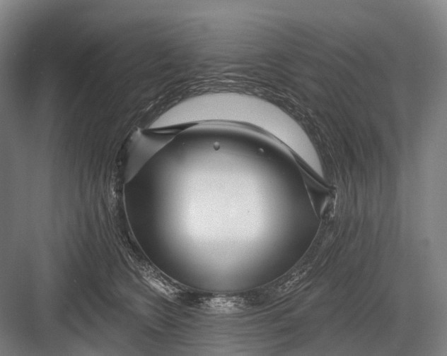 X0000082730566200702161910