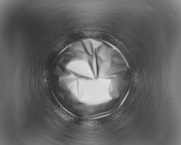 X0000082730567200702161910