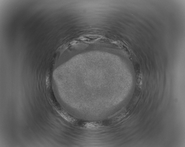 X0000082730568200702161910