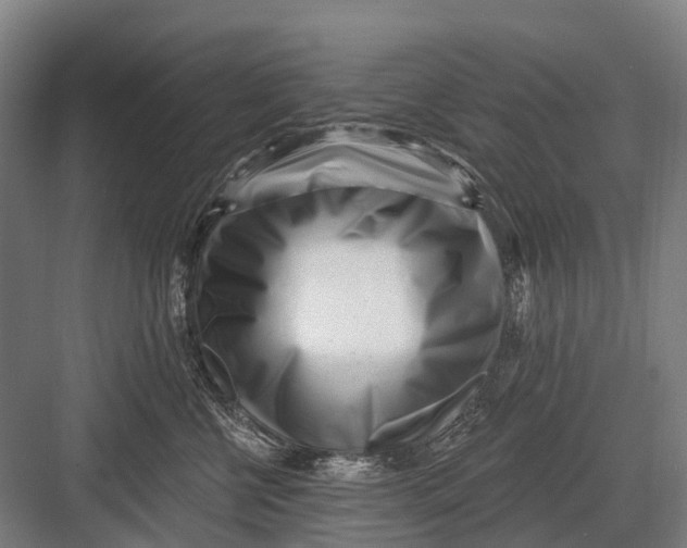 X0000082730570200702161910