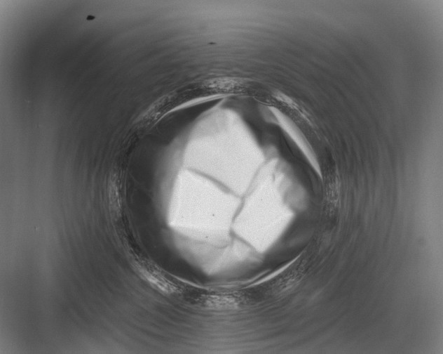 X0000082730572200702161910