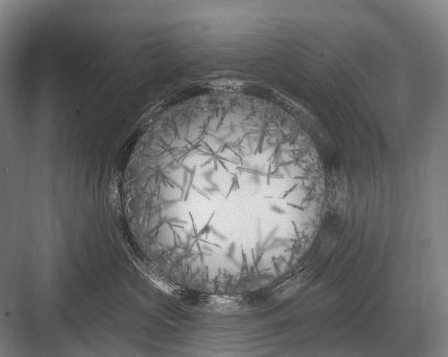 X0000082730573200702161910