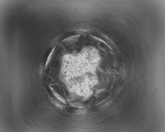 X0000082730574200702161910