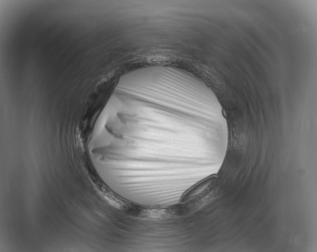 X0000082730575200702161910