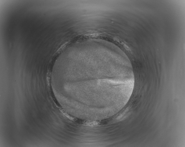 X0000082730576200702161910