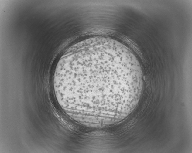 X0000082730578200702161909