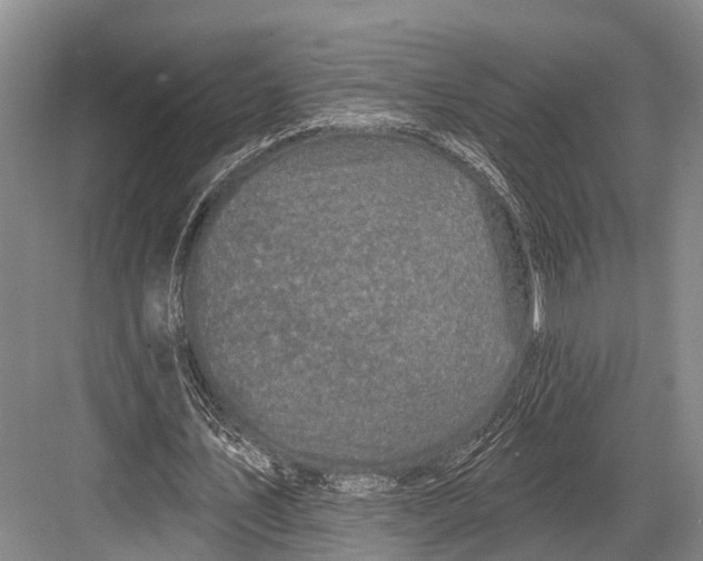 X0000082730579200702161909