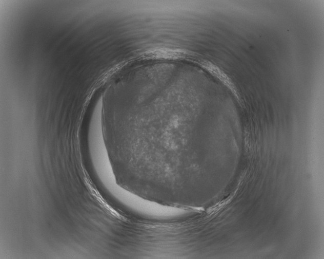 X0000082730581200702161909