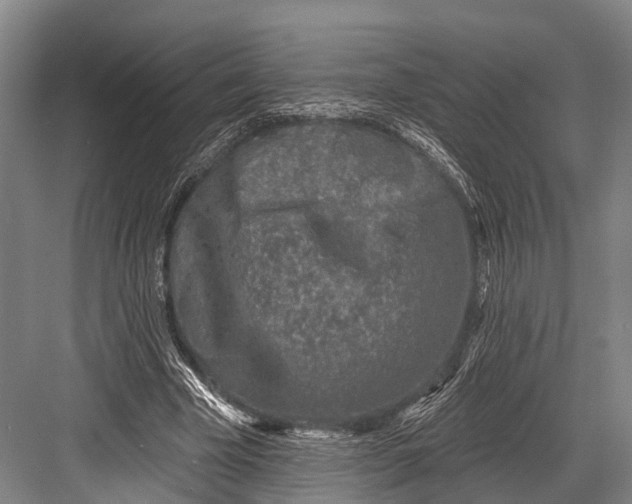 X0000082730585200702161909