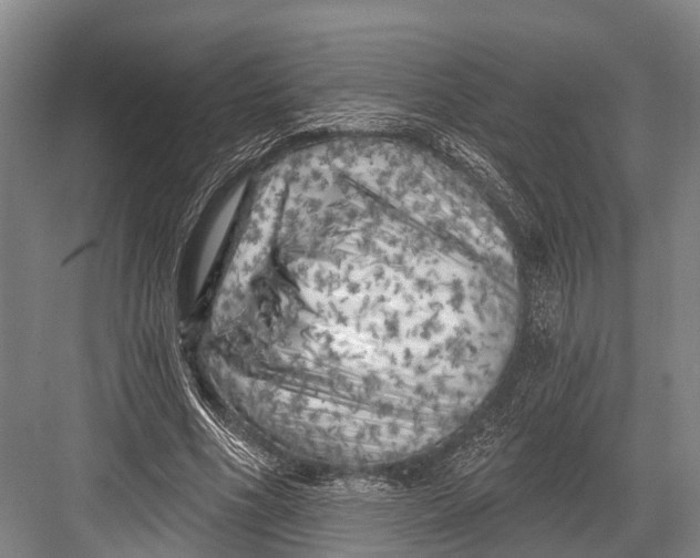 X0000082730586200702161909