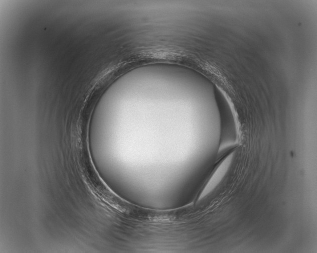 X0000082730587200702161909