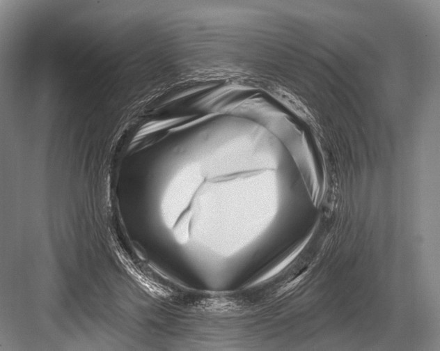 X0000082730589200702161909