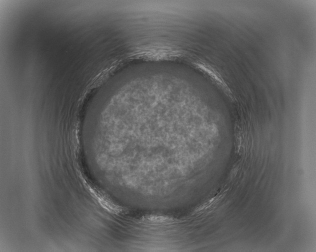 X0000082730590200702161909