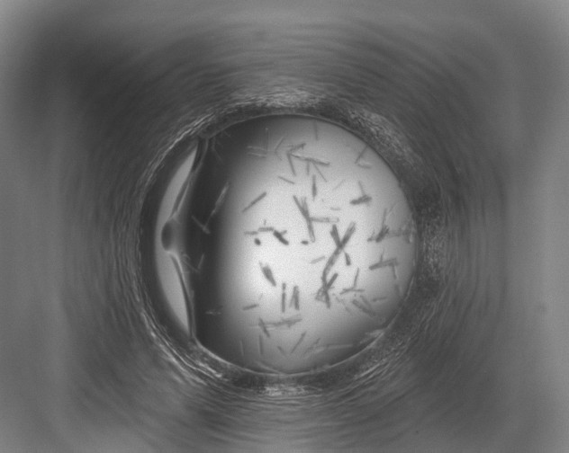 X0000082730591200702161909