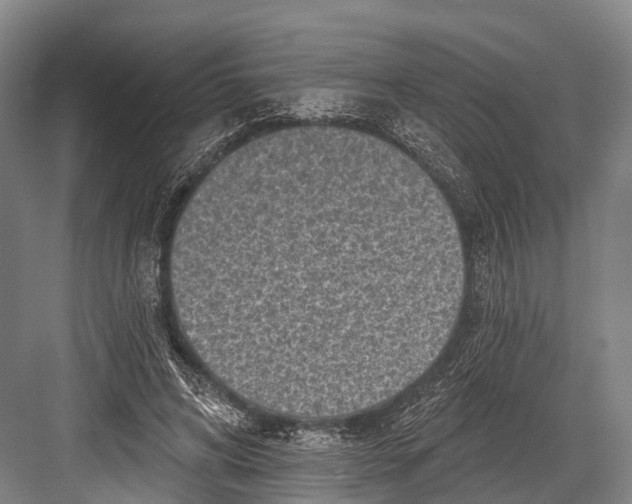 X0000082730592200702161909