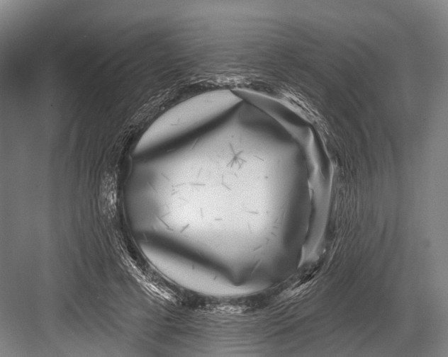 X0000082730593200702161909