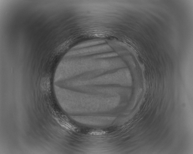 X0000082730595200702161909