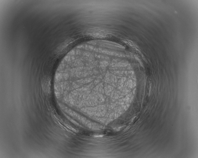 X0000082730596200702161909