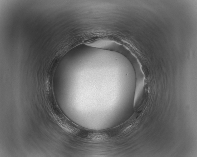 X0000082730597200702161909