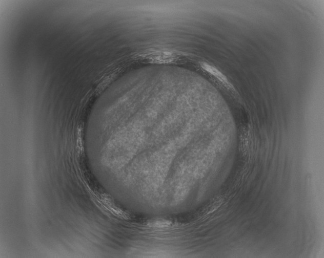 X0000082730598200702161909