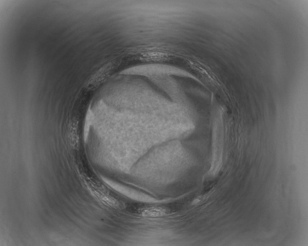 X0000082730599200702161909