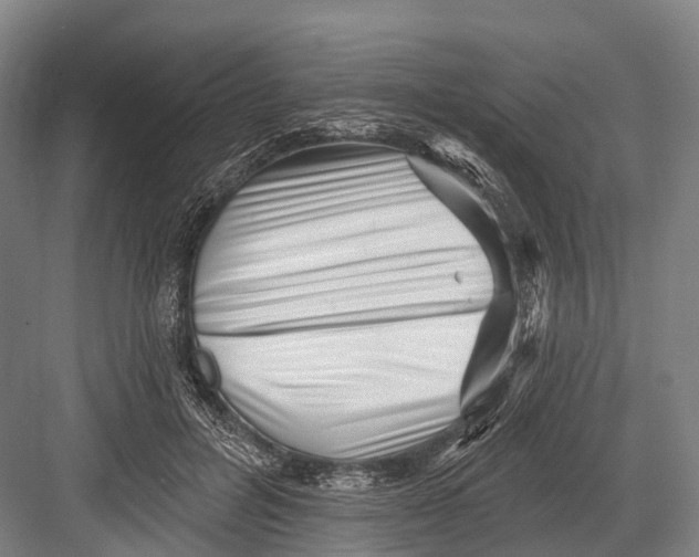 X0000082730600200702161909