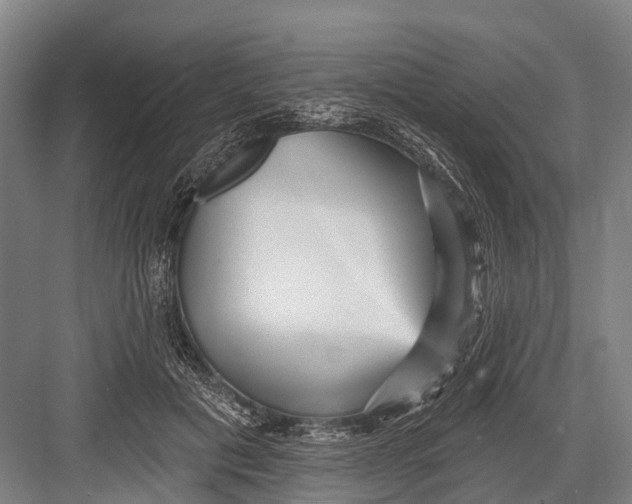 X0000082730601200702161909